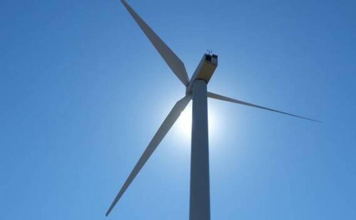 Sale a información pública el futuro parque eólico de Juan Grande