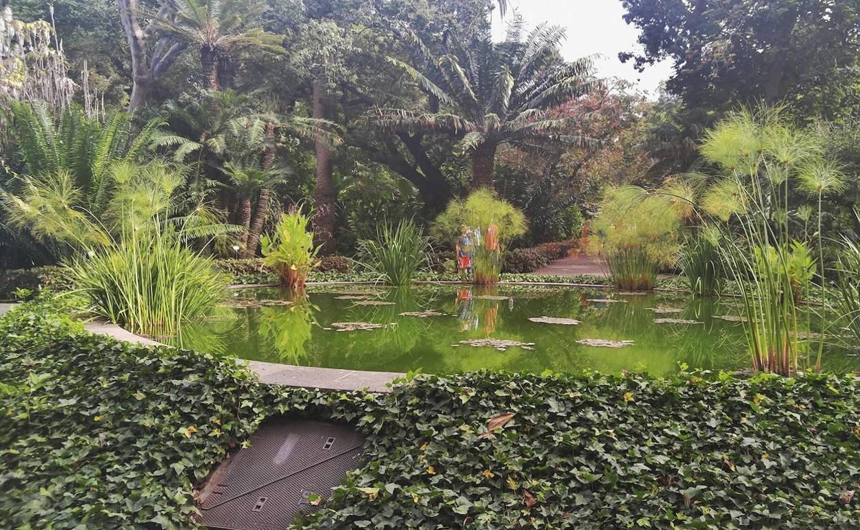 Imagen del Jardín Botánico del Puerto de la Cruz. 