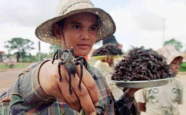 Vendedora de arañas fritas ofrece su mercancía en la localidad camboyana de Skuon