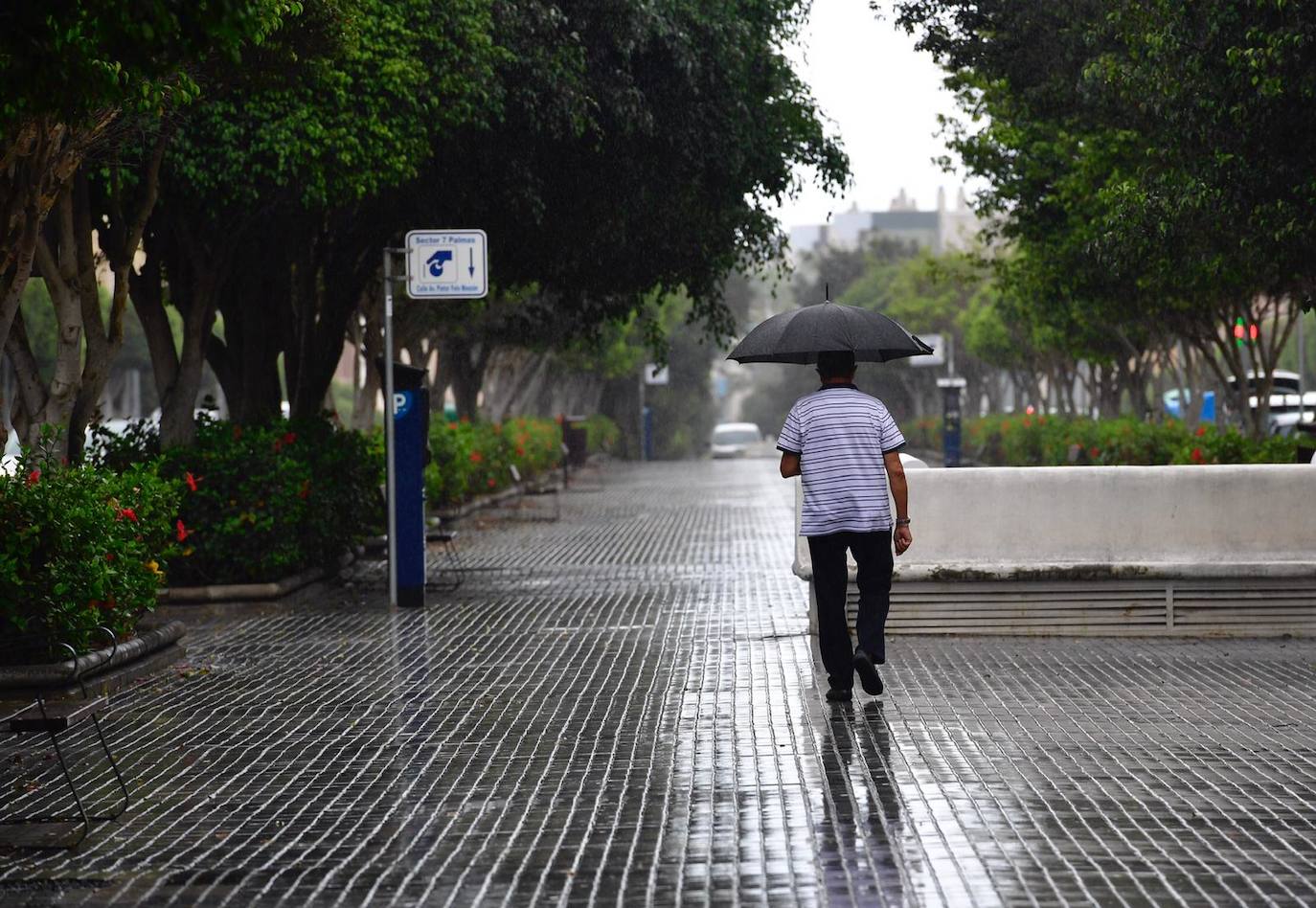 Fotos: Las 7 maravillas naturalez del mundo