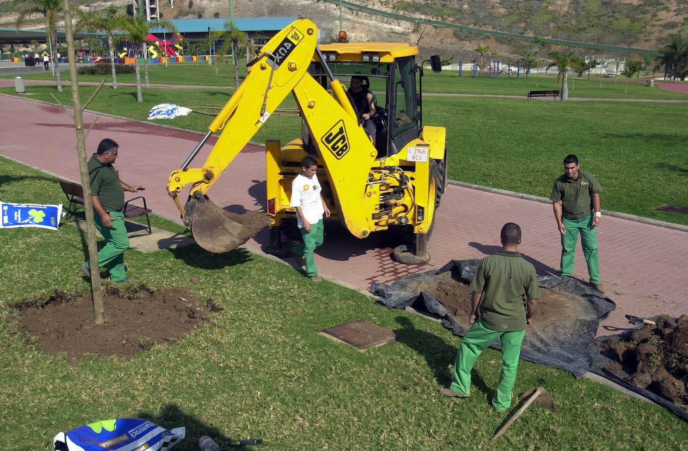 Imagen de archivo de una plantación en Las Rehoyas. 