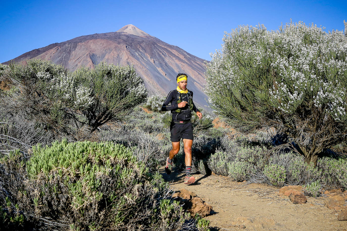 Los trabajos de desarrollan en el Pico del Teide. 