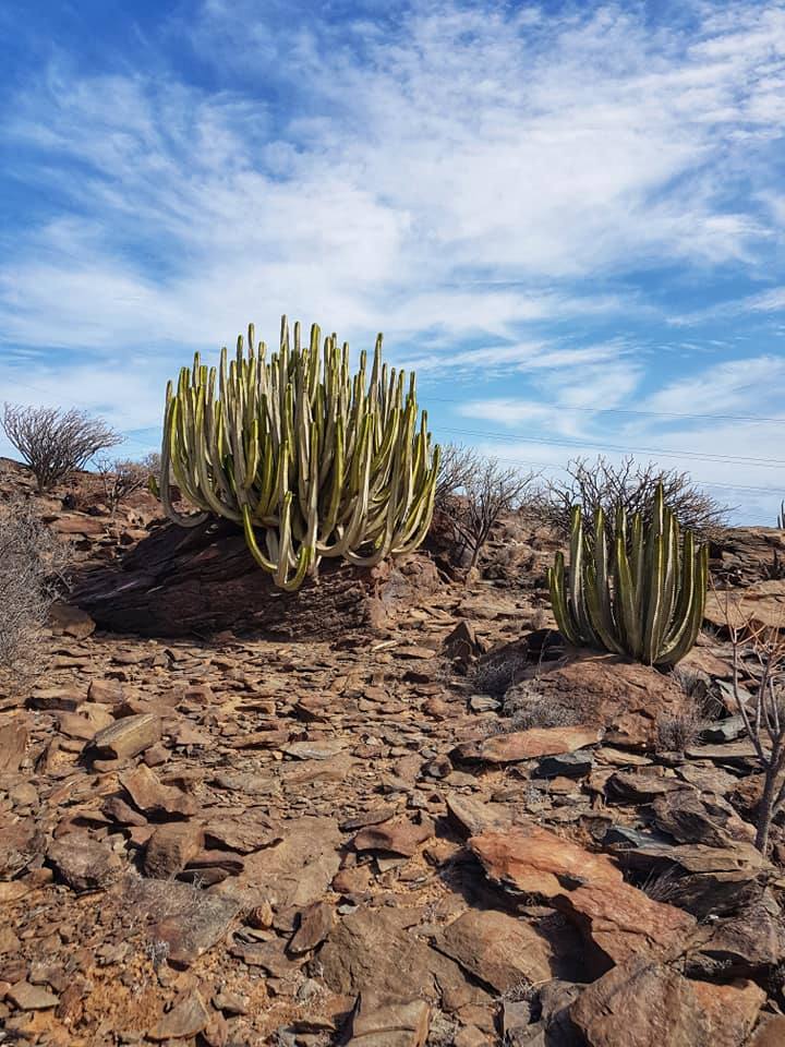 Imágenes del paisaje de la caminata. 