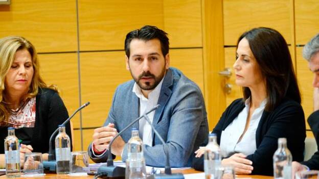 Manuel Hernández Cerezo, consejero de Economía, durante un pleno del Cabildo. 