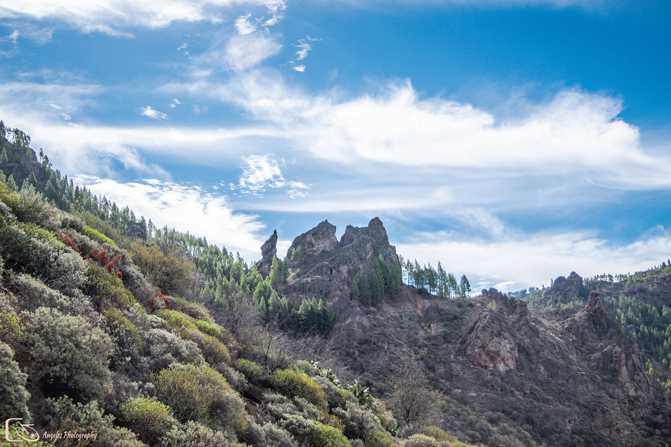 Fotos: Un rincón donde disfrutar de la naturaleza