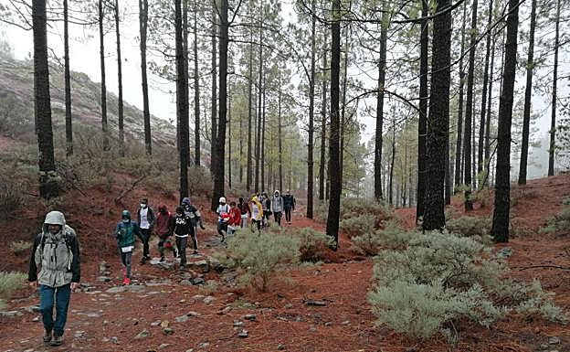 Imagen principal - Finaliza la etapa del segundo fin de semana del Camino de Los Valores 2020