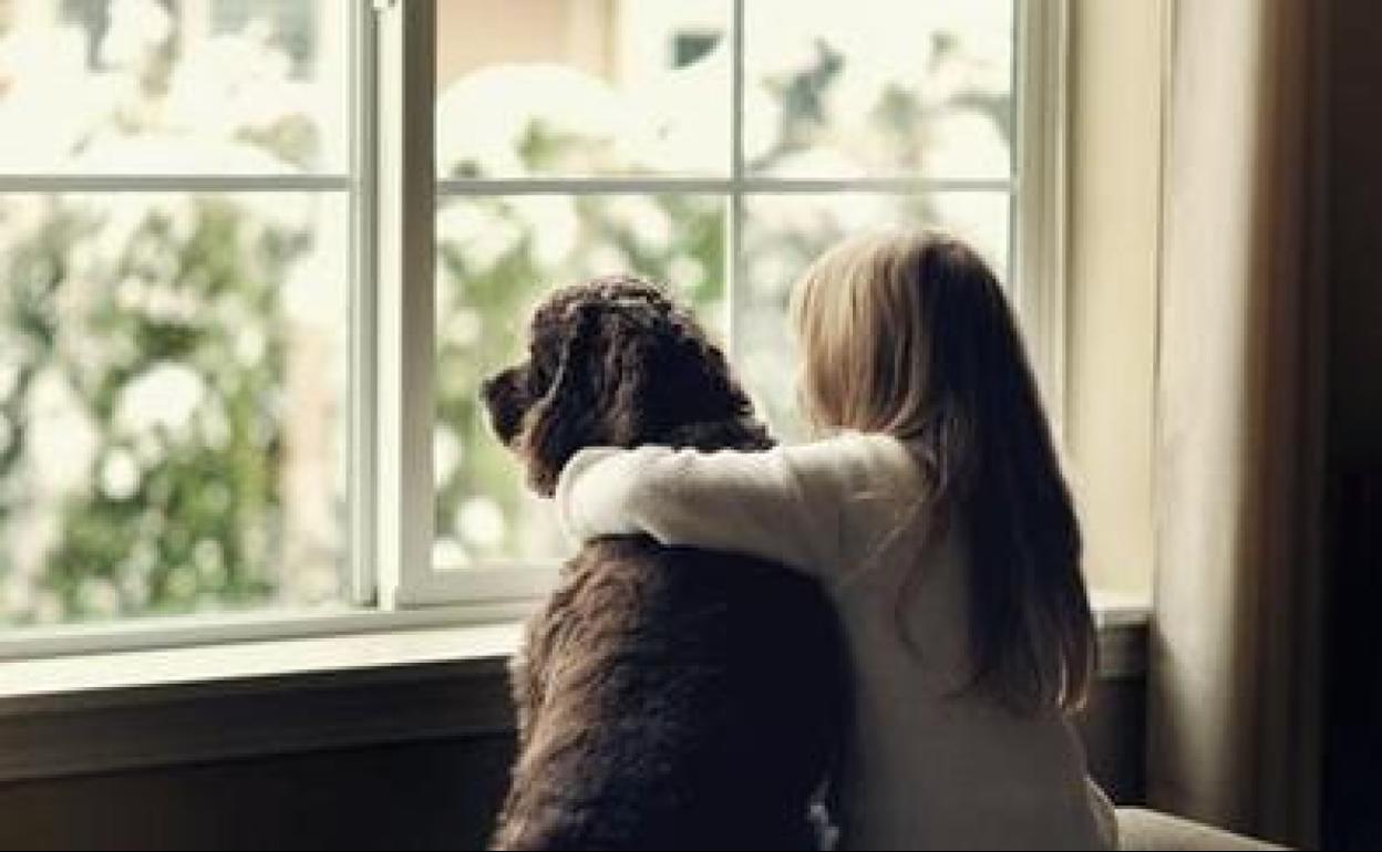 Una niña mira por la ventana con su mascota.