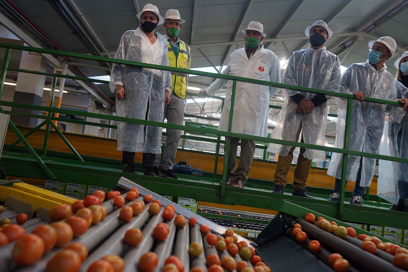 La consejera de Agricultura, Ganadería y Pesca del Gobierno de Canarias, Alicia Vanoostende, en su visita hoy a la Cooperativa Coagrisan de La Aldea.