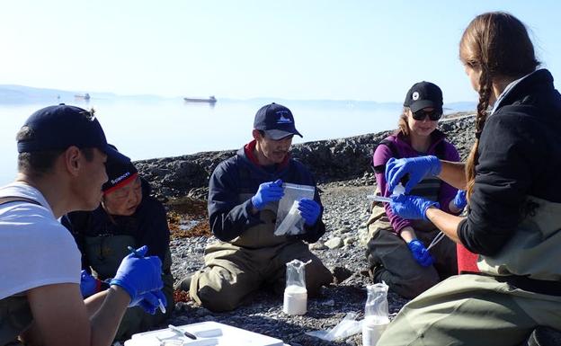 Miembros del equipo de campo 2019 de Pond Inlet y Salluit filtran el eADN de muestras de agua recogidas en Milne Inlet. 