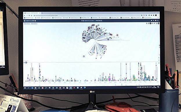 Imagen de la secuención de la cepa de SARS-CoV-2 estudiada. 