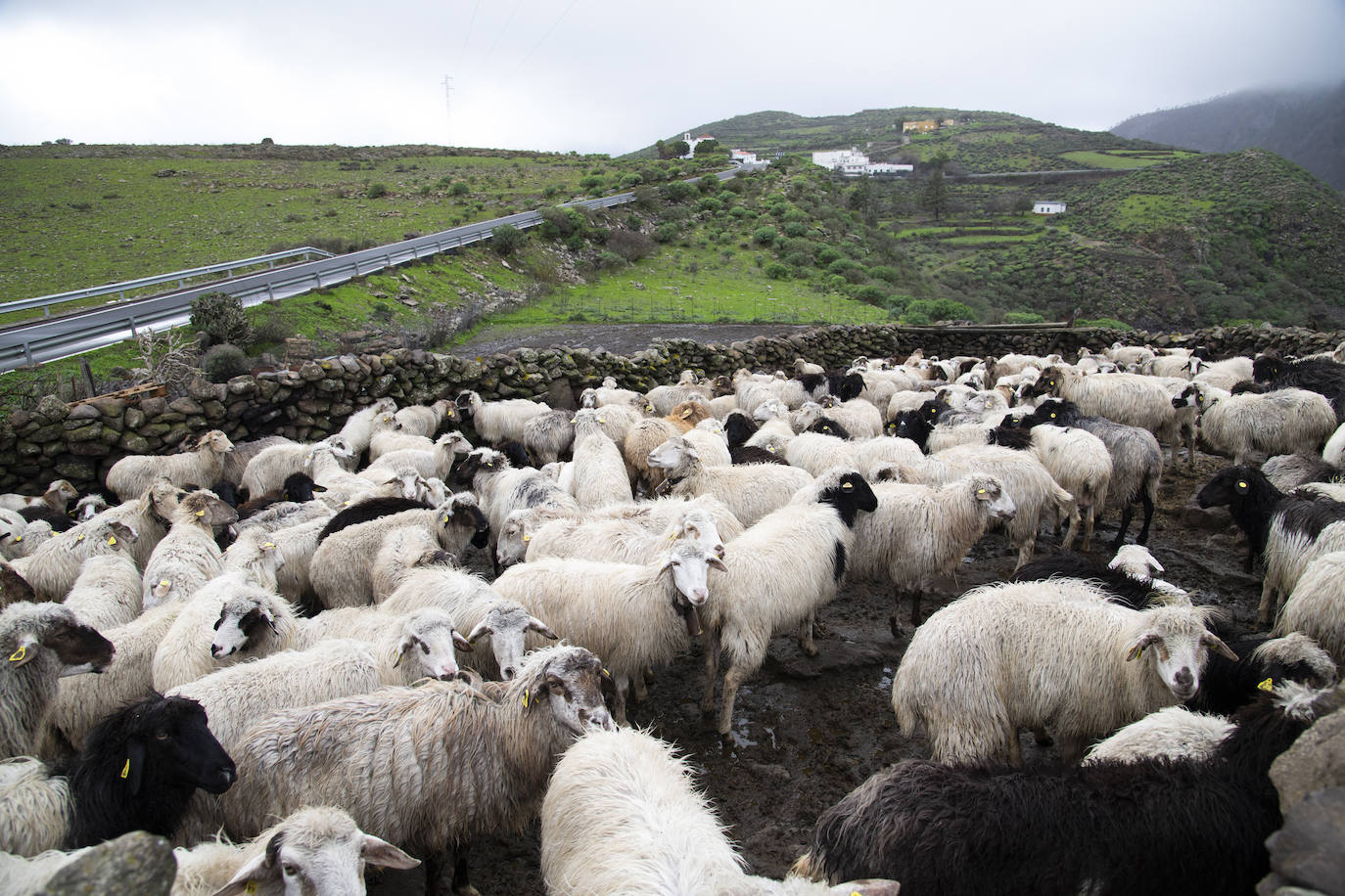 Fotos: Las mejores imágenes del paso de Filomena por Gran Canaria