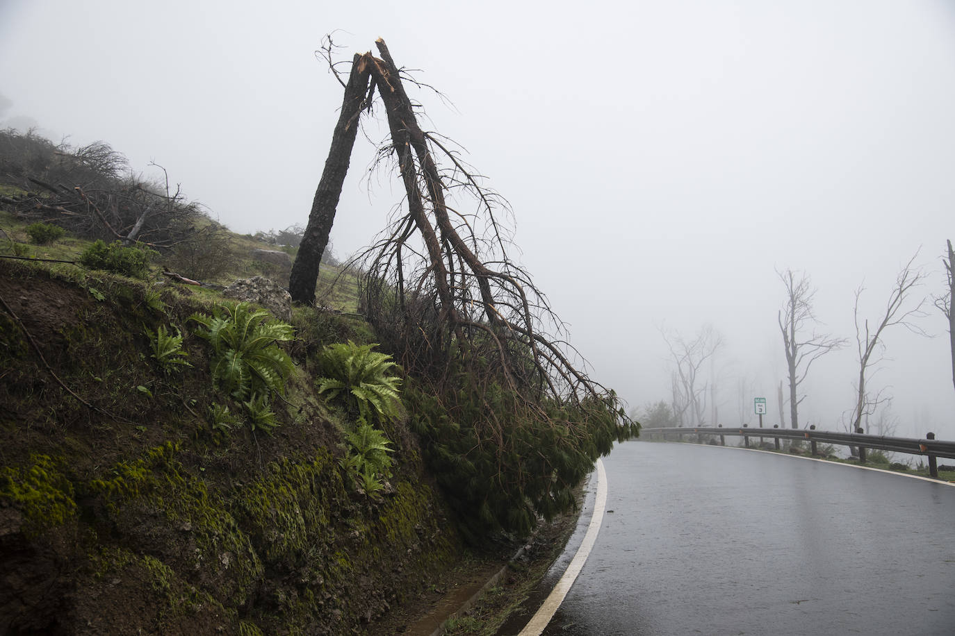 Fotos: Las mejores imágenes del paso de Filomena por Gran Canaria