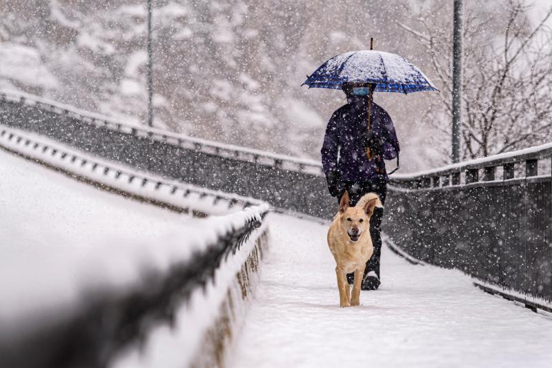 Un hombre pasea a su perro entre la nieve caída por Castilla-La Mancha