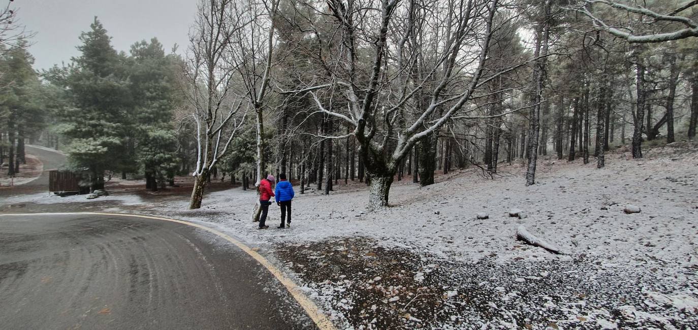 El Cabildo de Gran Canaria informa de la llegada de más personas ahora por la noche a la Cumbre. 