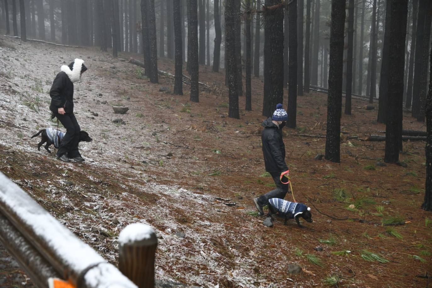 El Cabildo de Gran Canaria informa de la llegada de más personas ahora por la noche a la Cumbre. 