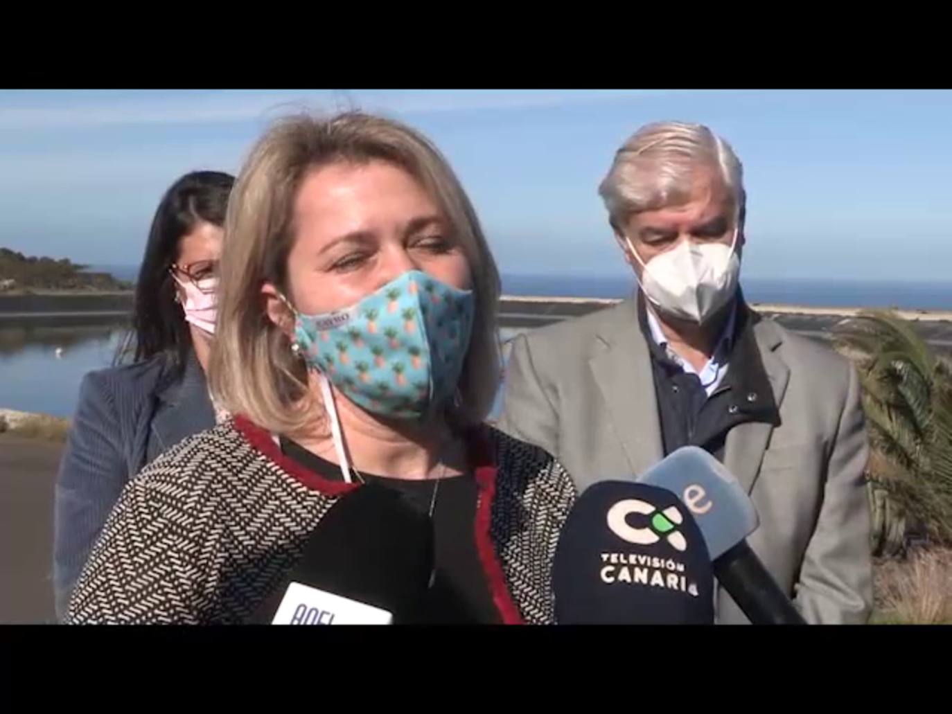 El Gobierno de Canarias compensa con 750.000 euros a los productores de piña