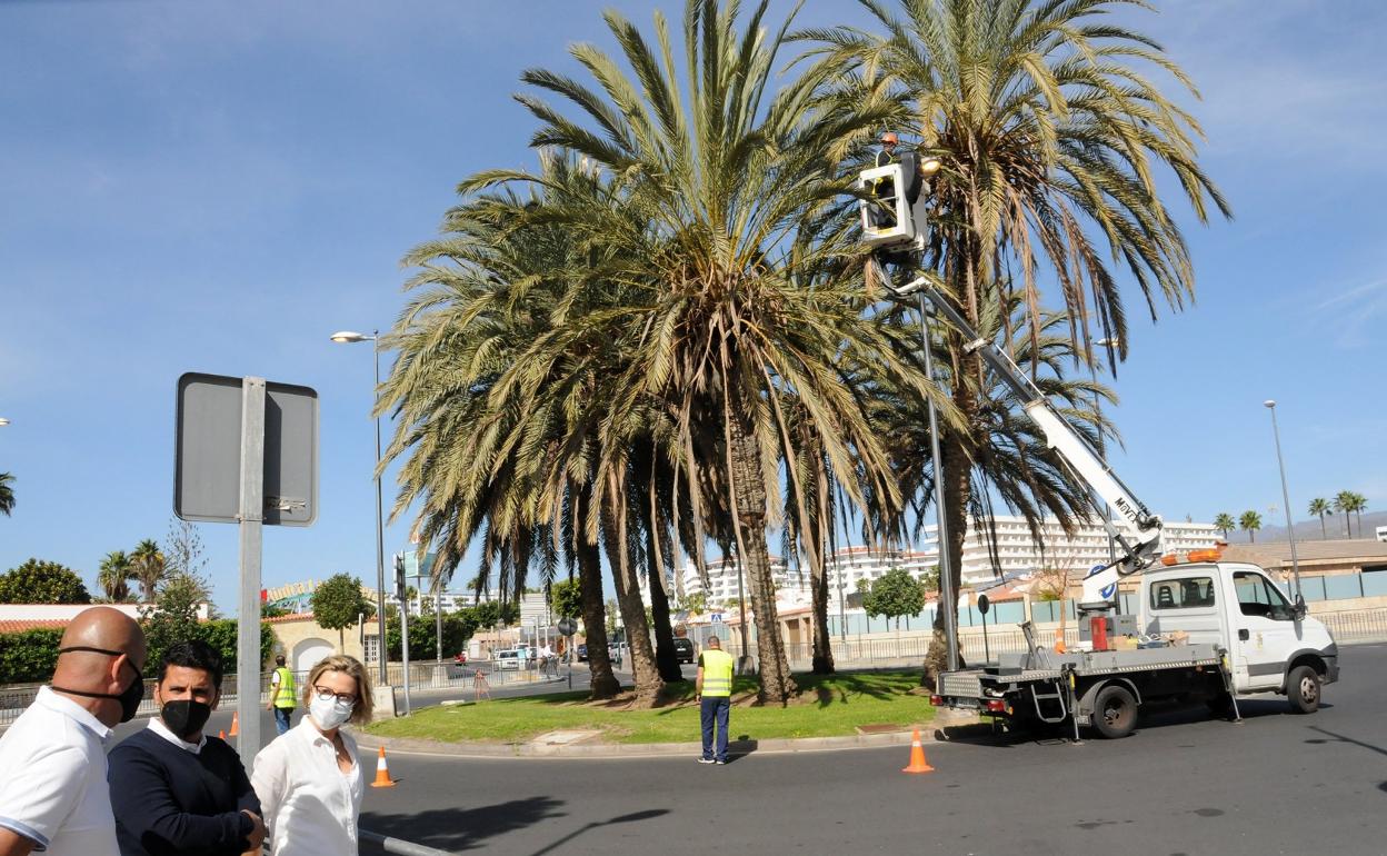 Acosta, Henríquez, y la alcaldesa, Conchi Narváez, supervisan las tareas. 
