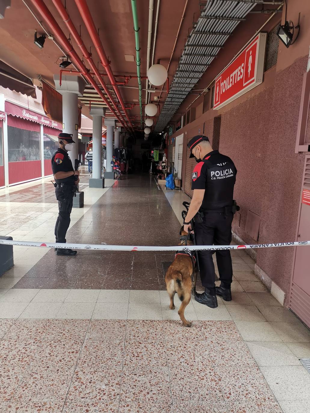 Fotos: Operativo policial contra las falsificaciones en el sur de Gran Canaria