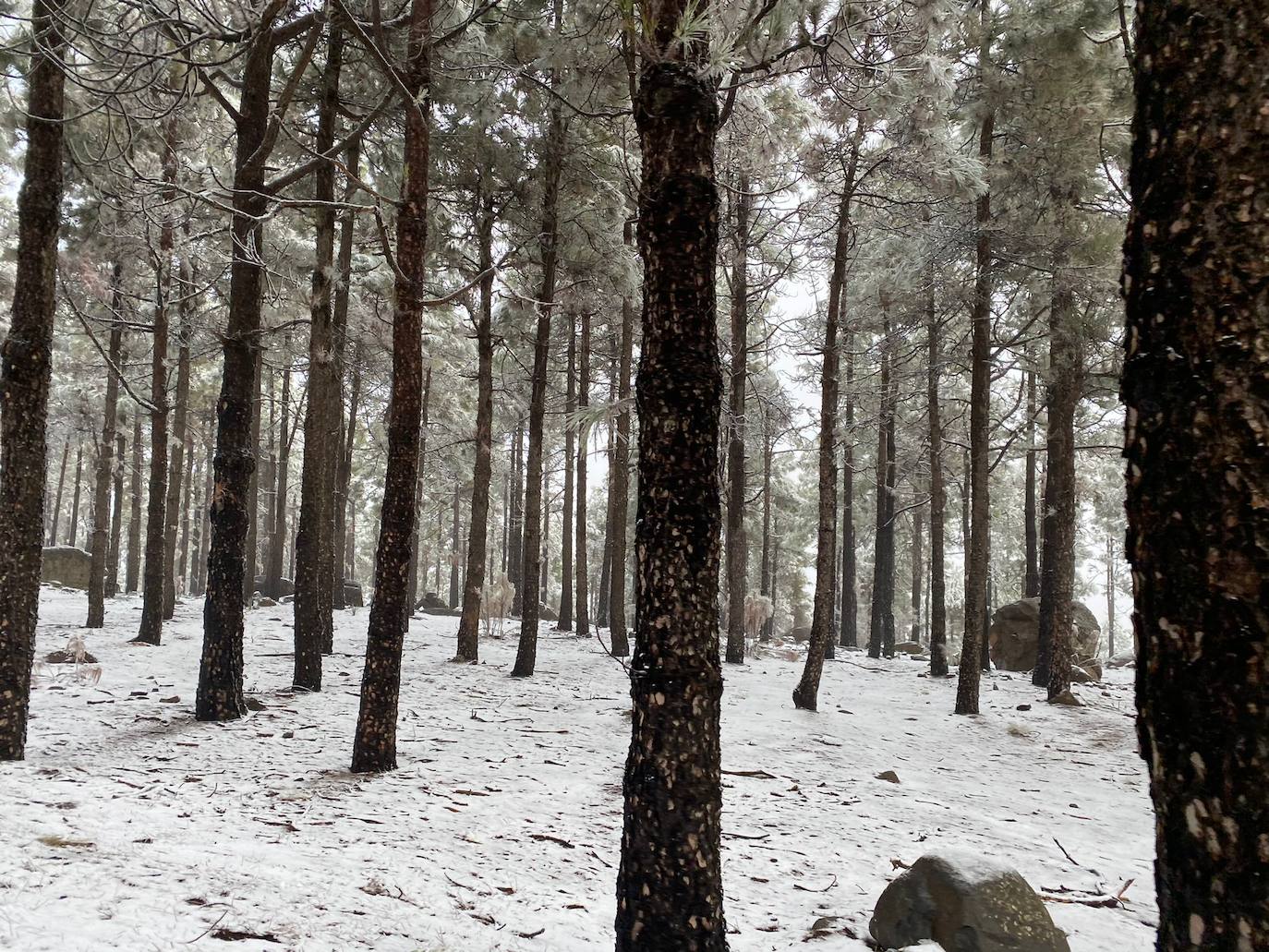 Fotos: La cumbre se tiñe de blanco
