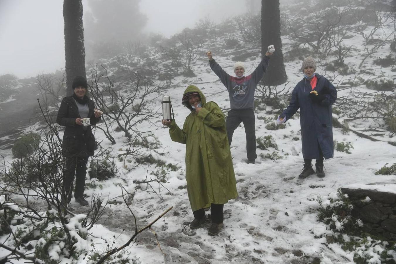 Fotos: Lleno en la cumbre en busca de la nieve