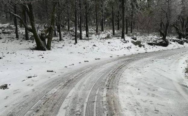 Imagen del Cabilo de Gran Canaria. 