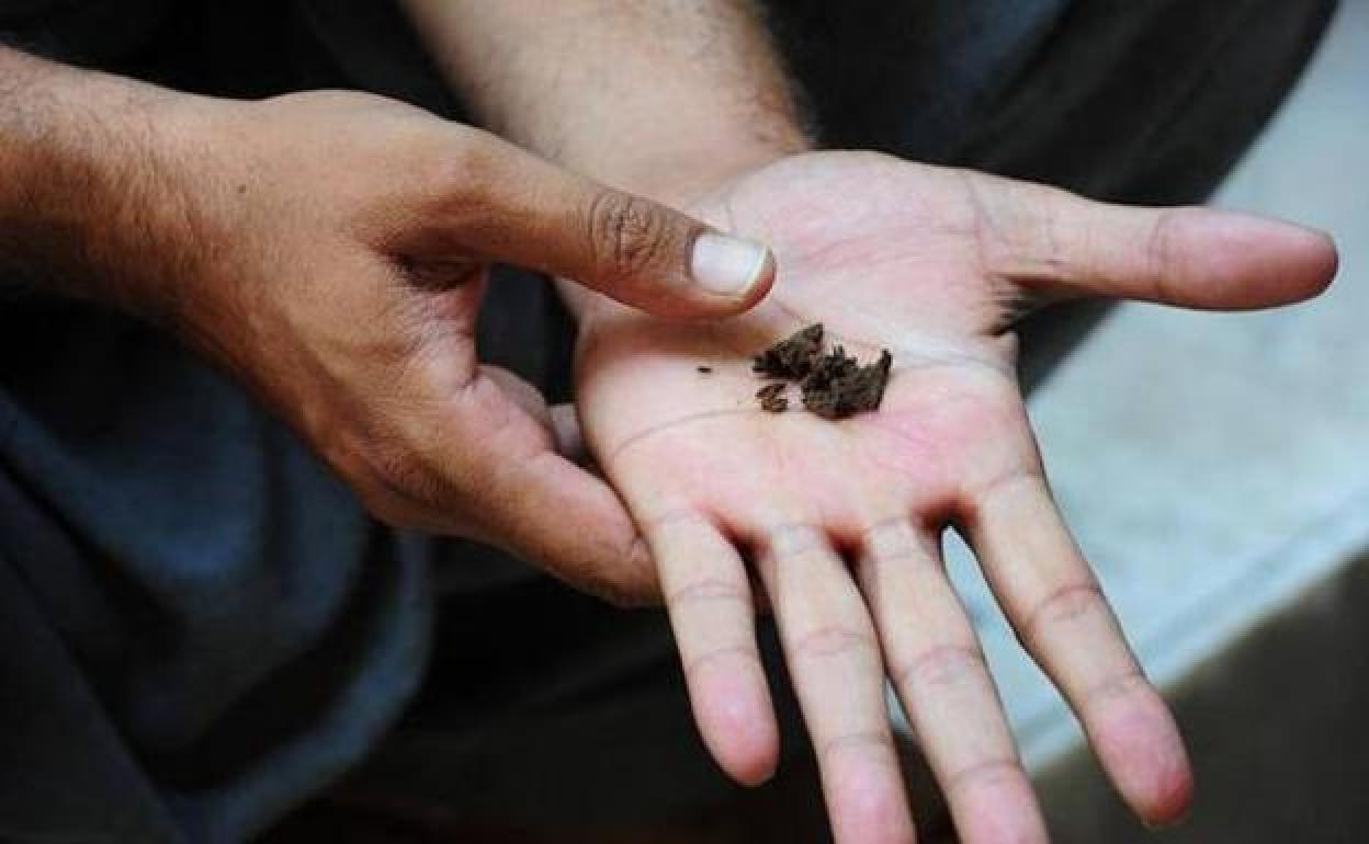 Imágenes de archivo. 