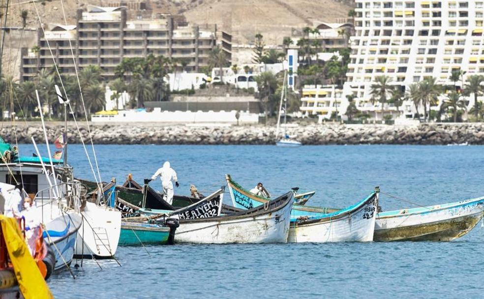 Imagen de varias pateras llegadas durante el pasado año al sur de Gran Canaria. 