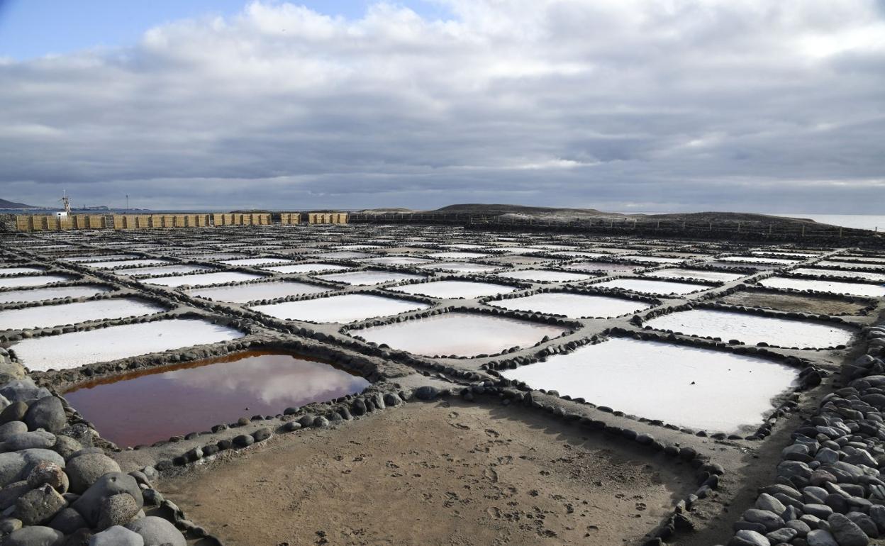 Vista general de los tajos, que serán rehabilitados. 