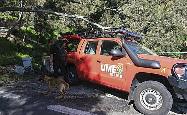 Imagen principal - La búsqueda de Juani, con la UME y drones de última generación