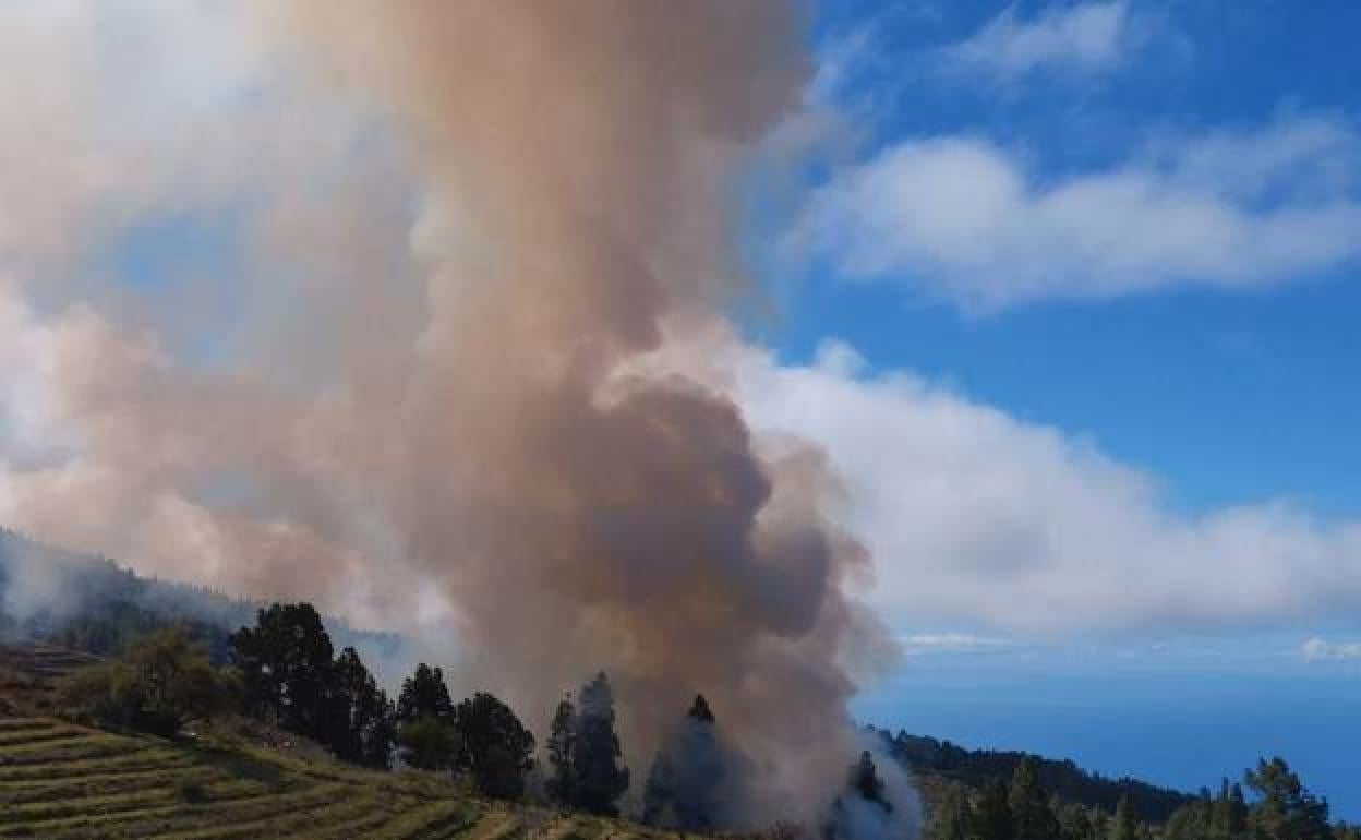 Imagen del incendio. 