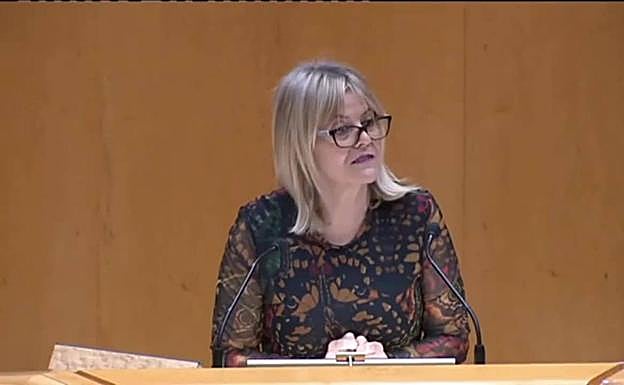 La senadora socialista por Segovia, Ana María Agudíez durante su intervención