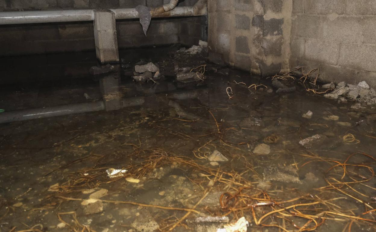 Aspecto que presenta la zona baja del inmueble. 