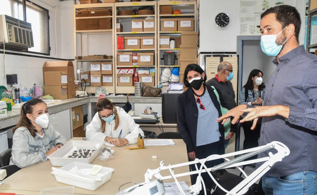 La ULPGC contará con un Centro de Arqueología en el Campus de Humanidades