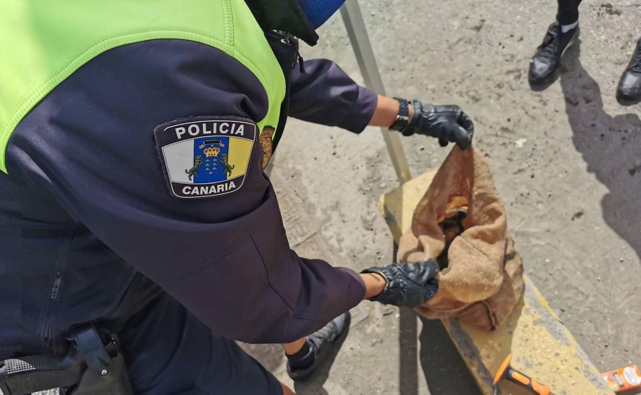 Pillado pescando lapas de forma furtiva en la capital grancanaria