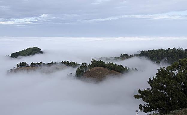 Mar de nubes visto desde Los Pinos de Gáldar, en la cumbre de la isla. 