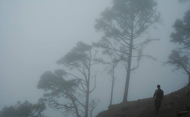 Bruma en los Andenes de Tasarte. 