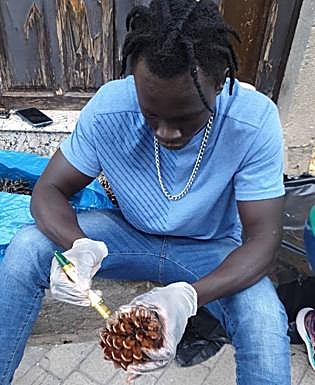 Otros se dedicaron a barnizar piñas. 