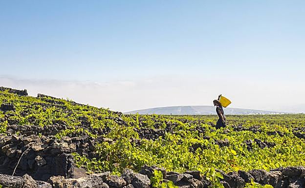Imagen principal - Fermín Otamendi, portada de la revista C7
