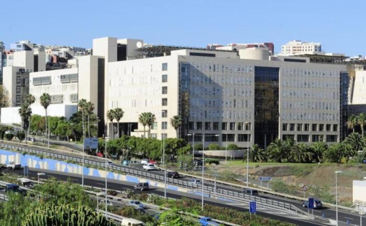 Los donantes de médula osea aumentaron en 30.631 en 2020 pese a la pandemia