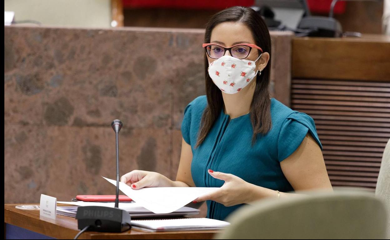 La consejera de Turismo, Yaiza Castilla, planteó la semana pasada a la ministra Reyes Maroto ese plan para las islas. 