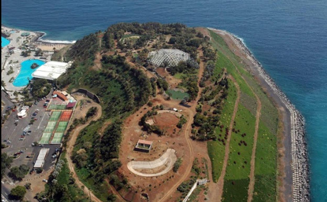 Herido tras sufrir una caída en la playa del Palmetum