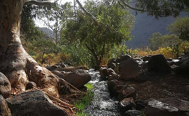 Agua corriendo junto al camino empedrado recuperado para el disfrute de los ciudadanos. 
