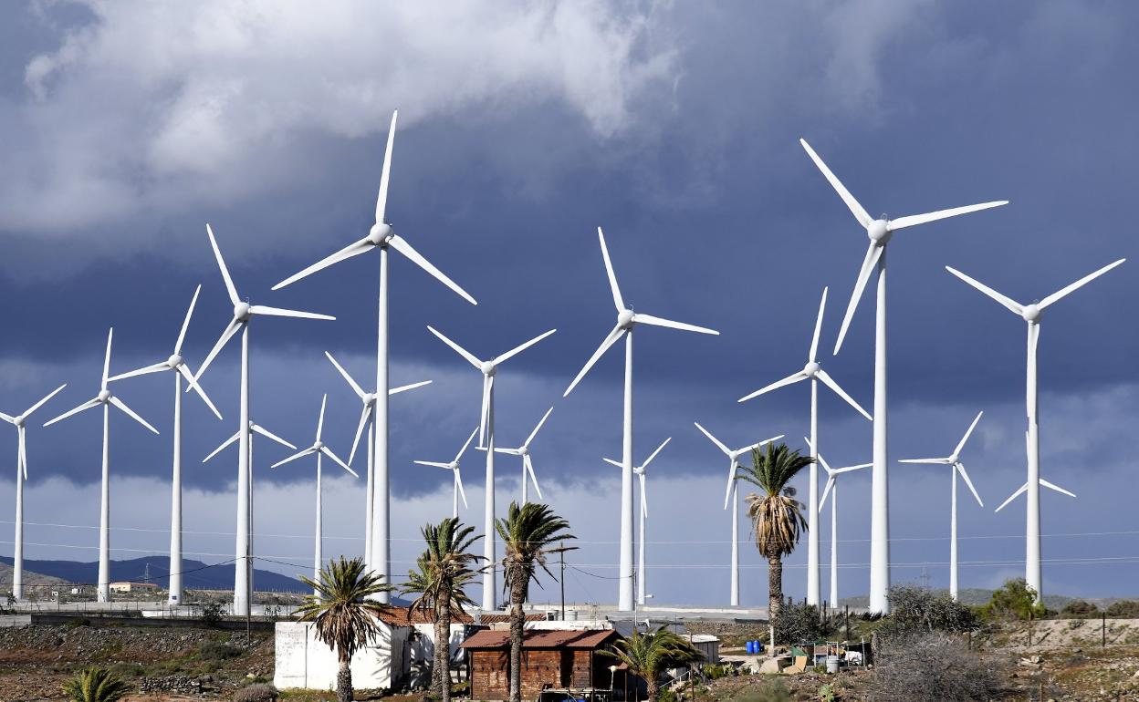 Imagen de aerogeneradores instalados en el sureste de Gran Canaria. 
