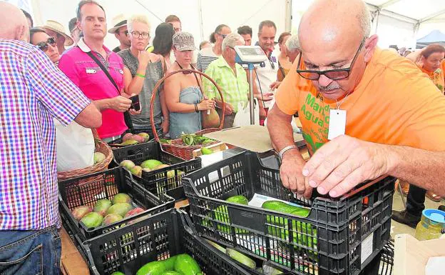 Imagen de archivo de la feria de productos agrícolas de Mogán.