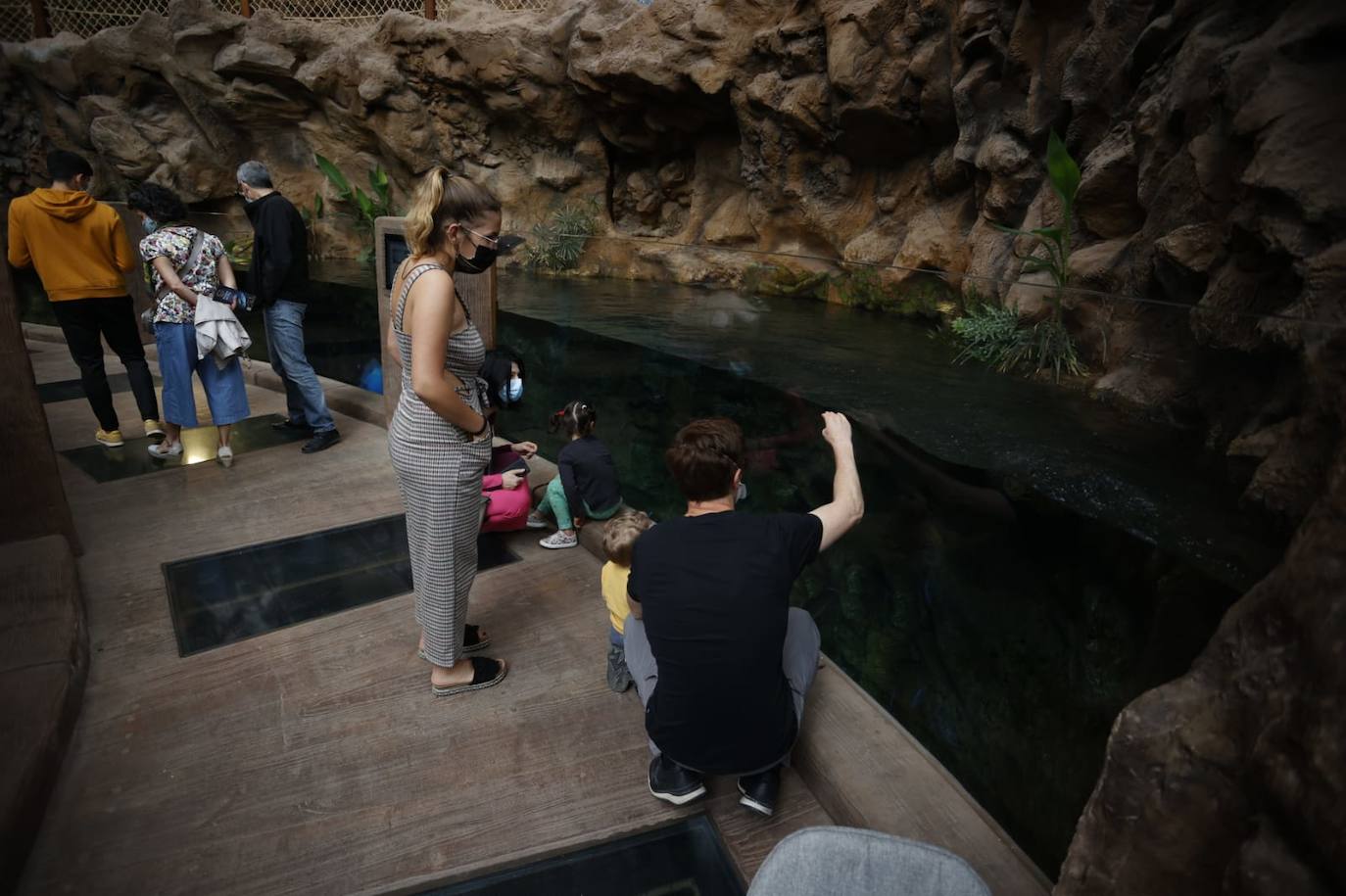 Imagen secundaria 2 - El acuario Poema del Mar reabre en la capital grancanaria