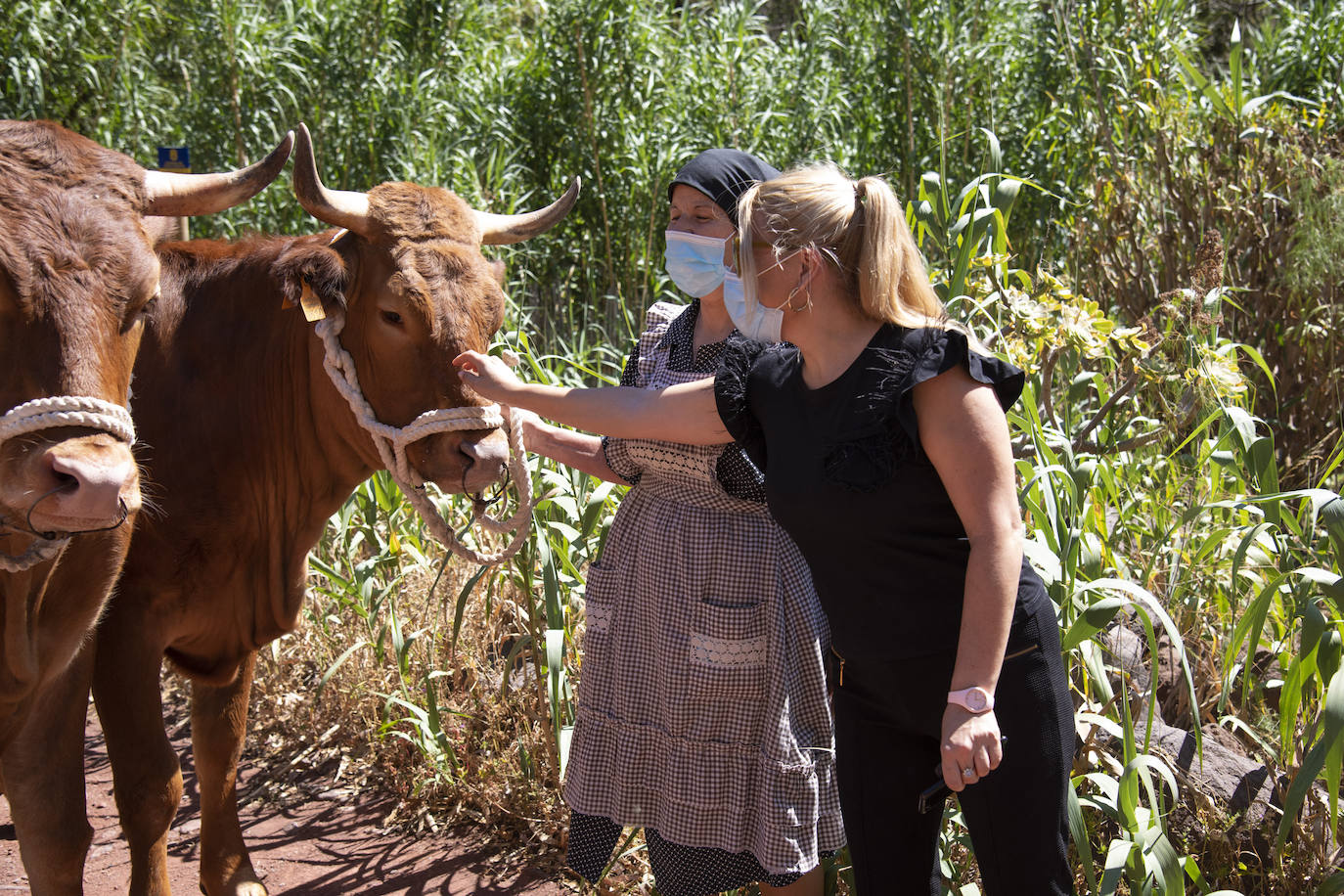 Fotos: Reapertura del Camino de las Bestias
