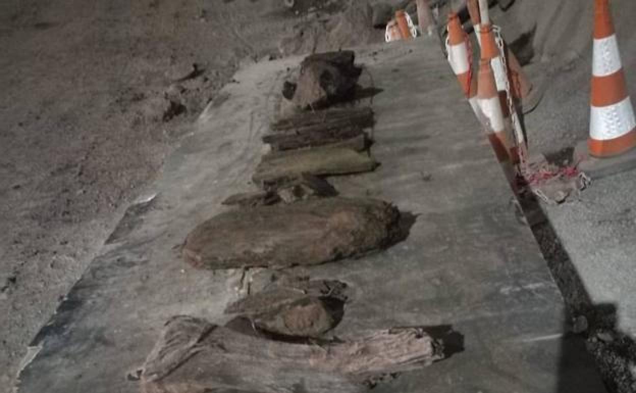 Algunos de los fragmentos vegetales aparecidos en las obras de la carretera de La Aldea. 