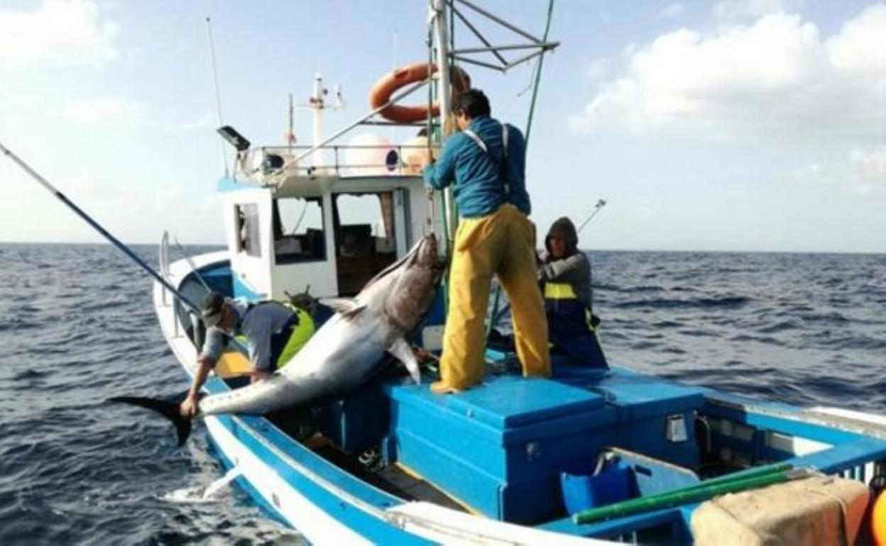 Pescadores en la zafra del atún. 