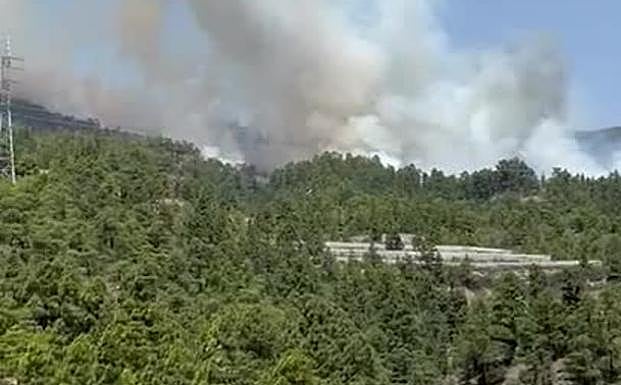 El fuego de Arico afecta 2.800 hectáreas y se extingue en el Parque Nacional