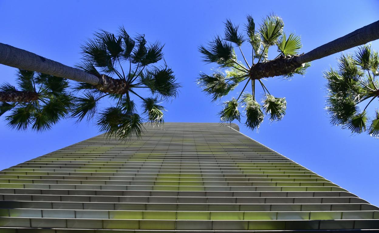 Palmeras junto al edificio Woermann, en la capital grancanaria. 